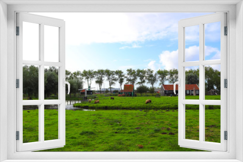 Fototapeta Naklejka Na Ścianę Okno 3D - Campagna Olandese