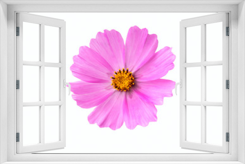 Fototapeta Naklejka Na Ścianę Okno 3D - Isolated pink flower on a white background. Cosmea