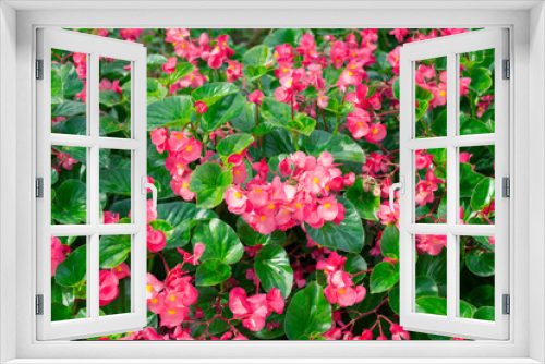 Fototapeta Naklejka Na Ścianę Okno 3D - Fondo de flores rosas y hojas verdes