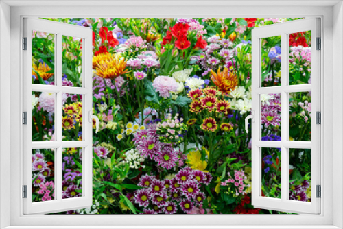 Fototapeta Naklejka Na Ścianę Okno 3D - Beautiful decorative colorful plants. Floral background.