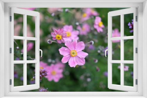 Fototapeta Naklejka Na Ścianę Okno 3D - Purple Flowers