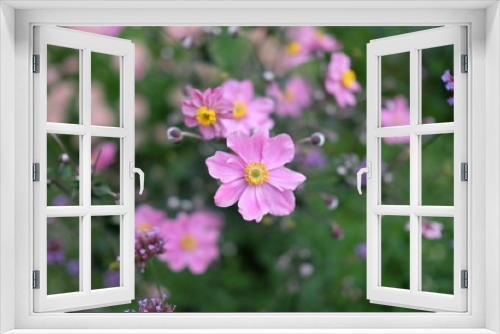 Fototapeta Naklejka Na Ścianę Okno 3D - Purple Flowers 