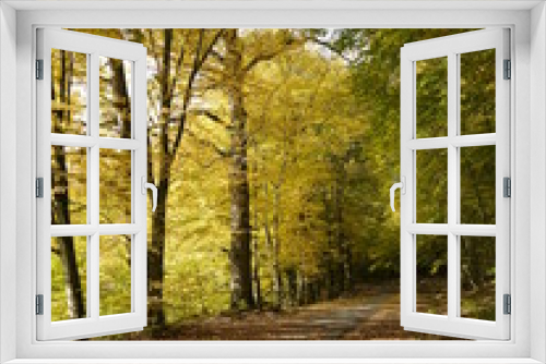 Fototapeta Naklejka Na Ścianę Okno 3D - Waldimpressionen
