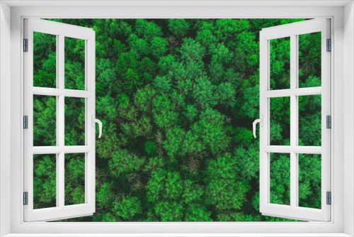 Fototapeta Naklejka Na Ścianę Okno 3D - Aerial view of the beautiful green forest. Forest texture top view