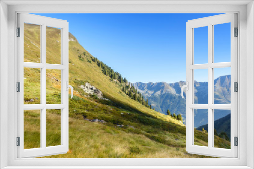 Fototapeta Naklejka Na Ścianę Okno 3D - Bergwiese in den herbstlichen Alpen