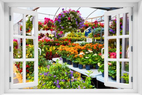 Fototapeta Naklejka Na Ścianę Okno 3D - Colorful flowers and plants for gardening in a greenhouse