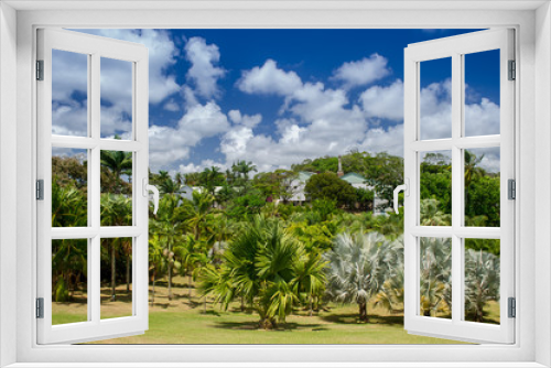 Fototapeta Naklejka Na Ścianę Okno 3D - Panoramic view of palm garden that covers a distillery of Rom.