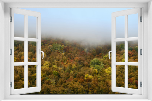 Fototapeta Naklejka Na Ścianę Okno 3D - The fog is coming in autumn forest . Background, fog, forest, autumn,