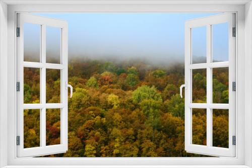 Fototapeta Naklejka Na Ścianę Okno 3D - The fog is coming in autumn forest . Background, fog, forest, autumn,