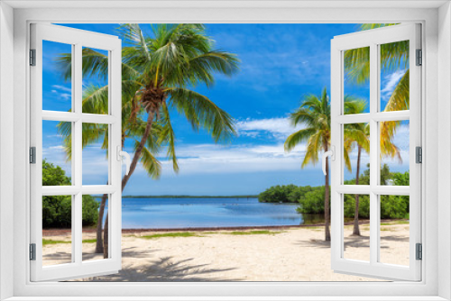 Fototapeta Naklejka Na Ścianę Okno 3D - Coconut palm trees on a tropical sandy beach in Florida Keys.