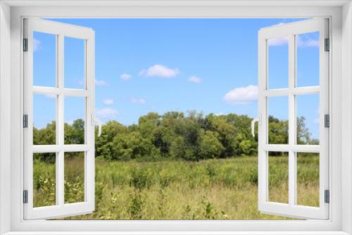 Fototapeta Naklejka Na Ścianę Okno 3D - The beauty of the tall grass field and the white clouds.