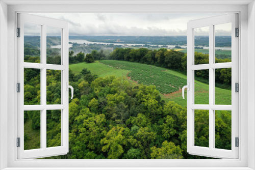 Fototapeta Naklejka Na Ścianę Okno 3D - Hemp Farm Aerial Image