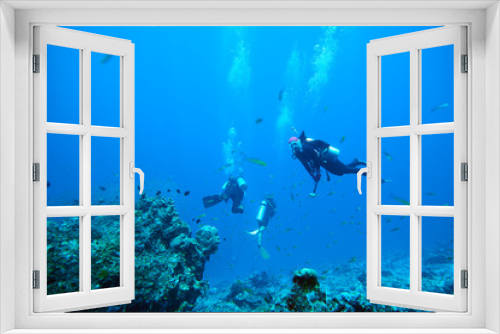 Fototapeta Naklejka Na Ścianę Okno 3D - scuba diving