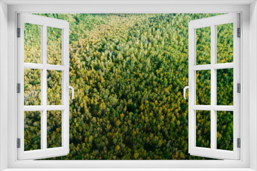 Fototapeta Naklejka Na Ścianę Okno 3D - Aerial drone view of autumn forest landscape