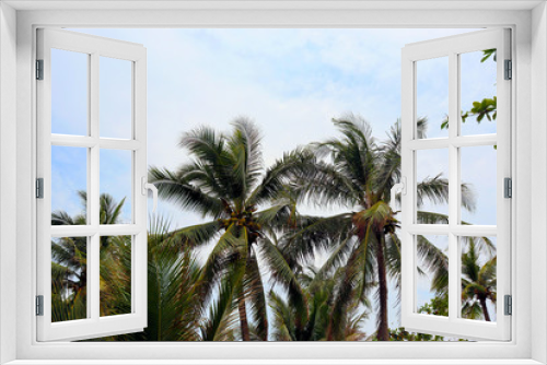 Fototapeta Naklejka Na Ścianę Okno 3D - palm tree in front of blue sky
