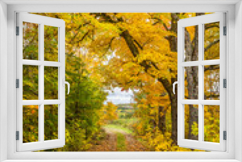 Fototapeta Naklejka Na Ścianę Okno 3D - Countryside in Autumn