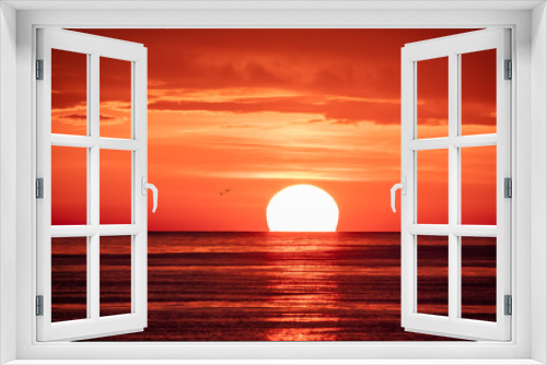 Fototapeta Naklejka Na Ścianę Okno 3D - Beautiful red and orange sunset over the sea. The sun goes down over the sea. Two seagulls are flying against the sunset.