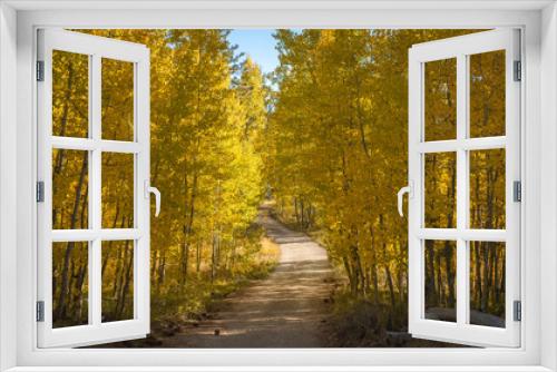 Fototapeta Naklejka Na Ścianę Okno 3D - Fall Colors