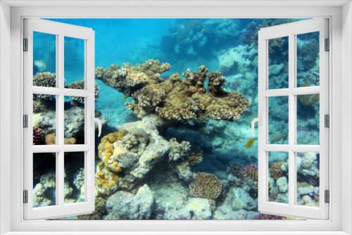 Fototapeta Naklejka Na Ścianę Okno 3D - Рыбки