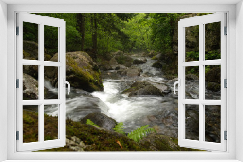 Fototapeta Naklejka Na Ścianę Okno 3D - forest mountain creek