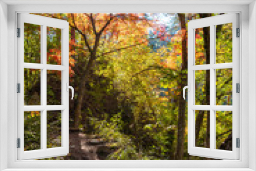 Fototapeta Naklejka Na Ścianę Okno 3D - Mitake Shosenkyo Gorge Autumn foliage scenery view in sunny day. Beauty landscapes of magnificent fall colours. A popular tourist attractions in Kofu, Yamanashi Prefecture, Japan
