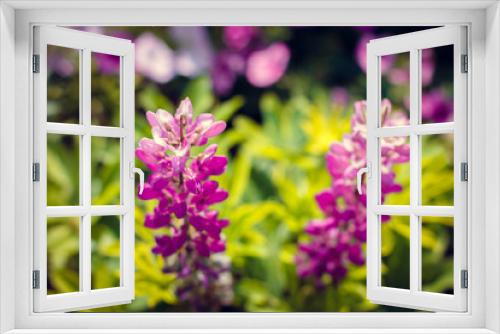 Fototapeta Naklejka Na Ścianę Okno 3D - flowers bloom in the garden