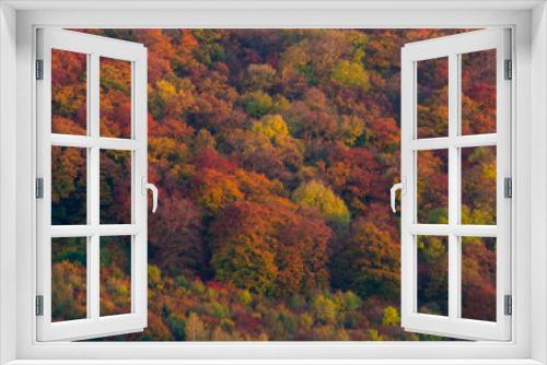 Fototapeta Naklejka Na Ścianę Okno 3D - colors of autumn
