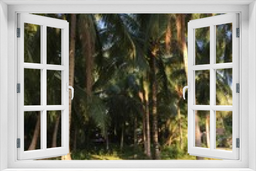 Fototapeta Naklejka Na Ścianę Okno 3D - palm trees in park