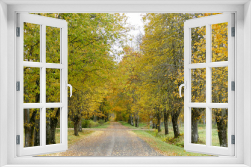 Fototapeta Naklejka Na Ścianę Okno 3D - Path in the beautiful autumn park. Alley with trees.