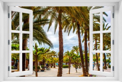 Fototapeta Naklejka Na Ścianę Okno 3D - Port de Alcudia Palms on the beach