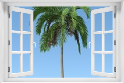 Fototapeta Naklejka Na Ścianę Okno 3D - BIG TREE