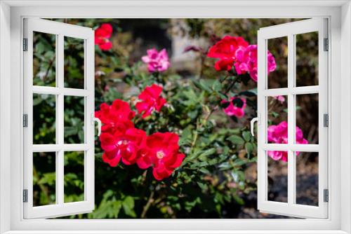 Fototapeta Naklejka Na Ścianę Okno 3D - red flowers in the garden