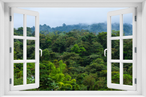 Fototapeta Naklejka Na Ścianę Okno 3D - Cloud forest, Sarapiqui Region, Costa Rica, Central America, America