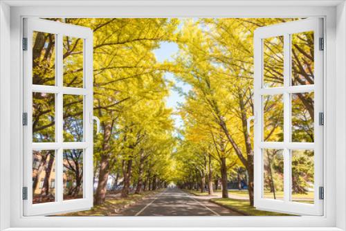 Fototapeta Naklejka Na Ścianę Okno 3D - Ginkgo avenue autumn fall
