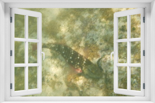 Fototapeta Naklejka Na Ścianę Okno 3D - honduras