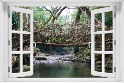 Fototapeta Naklejka Na Ścianę Okno 3D - the living roots bridge of Meghalaya