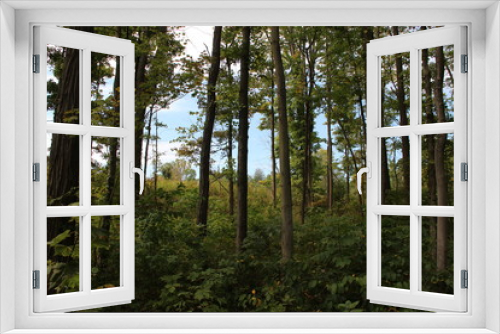 Fototapeta Naklejka Na Ścianę Okno 3D - Wilderness Peace
