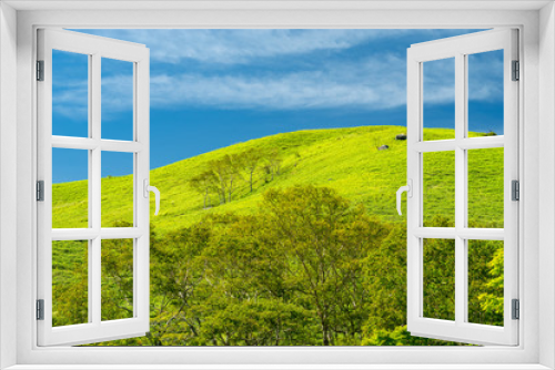 Fototapeta Naklejka Na Ścianę Okno 3D - Vibrant green hills and blue sky_E
