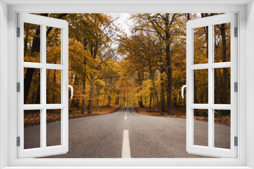 Fototapeta Naklejka Na Ścianę Okno 3D - Yellow trees and road in autumn