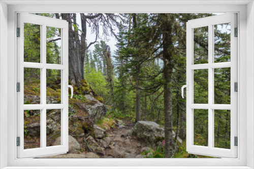 Fototapeta Naklejka Na Ścianę Okno 3D - Beautiful view of Siberian nature. Very beautiful and fabulous forest