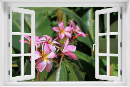 Fototapeta Naklejka Na Ścianę Okno 3D - Hot Tropics - Palms and Florals