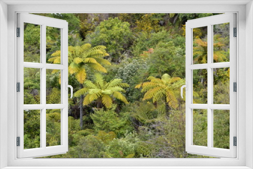 Fototapeta Naklejka Na Ścianę Okno 3D - Able Tasman Natinal Park in New Zealand