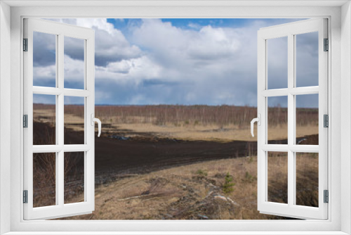 Fototapeta Naklejka Na Ścianę Okno 3D - landscape with bog ditch, white birch trees and beautiful glare