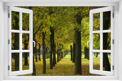 Fototapeta Naklejka Na Ścianę Okno 3D - autumn in the park