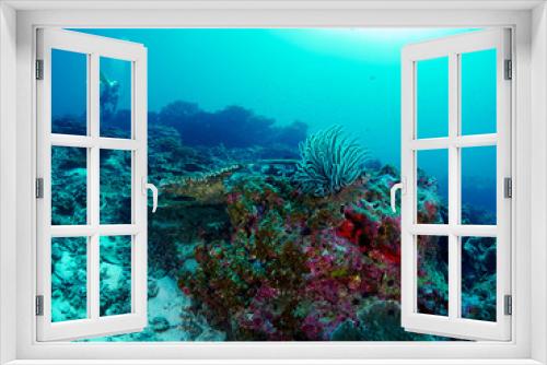 Fototapeta Naklejka Na Ścianę Okno 3D - diver with coral