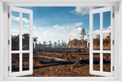 Fototapeta Naklejka Na Ścianę Okno 3D - Wood cutting, burning wood, destroying the environment.Area of illegal deforestation of vegetation native to the Laos forest,ASIA.
