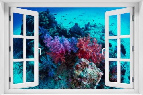 Fototapeta Naklejka Na Ścianę Okno 3D - coral reef with tropical fish