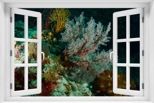 Fototapeta Naklejka Na Ścianę Okno 3D - coral reef and reef fish