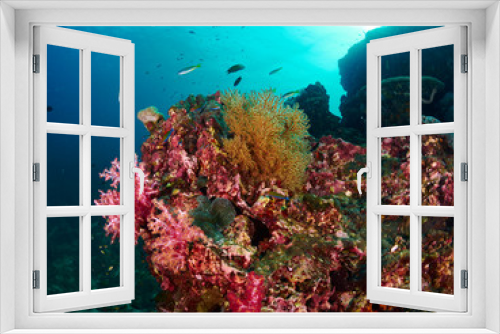 Fototapeta Naklejka Na Ścianę Okno 3D - coral reef with tropical fish