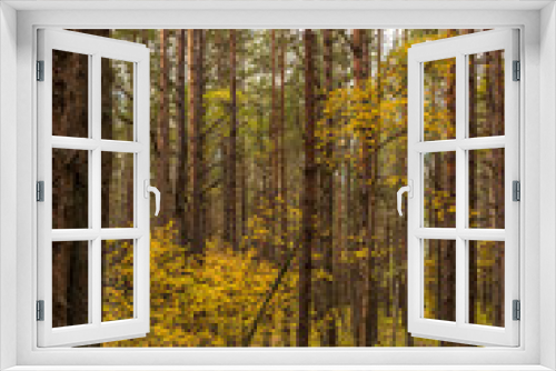 Fototapeta Naklejka Na Ścianę Okno 3D - Autumn Forest Path with Yellow and Green Foliage in Northern Europe